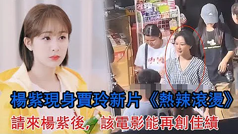 楊紫現身賈玲新片《熱辣滾燙》，請來楊紫後，該電影能再創佳績嗎 - 天天要聞