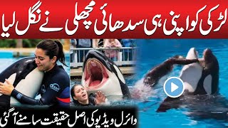 Orcas Trainer Jessica Radcliffe Death | Video Gone Viral | Breaking News | Public News