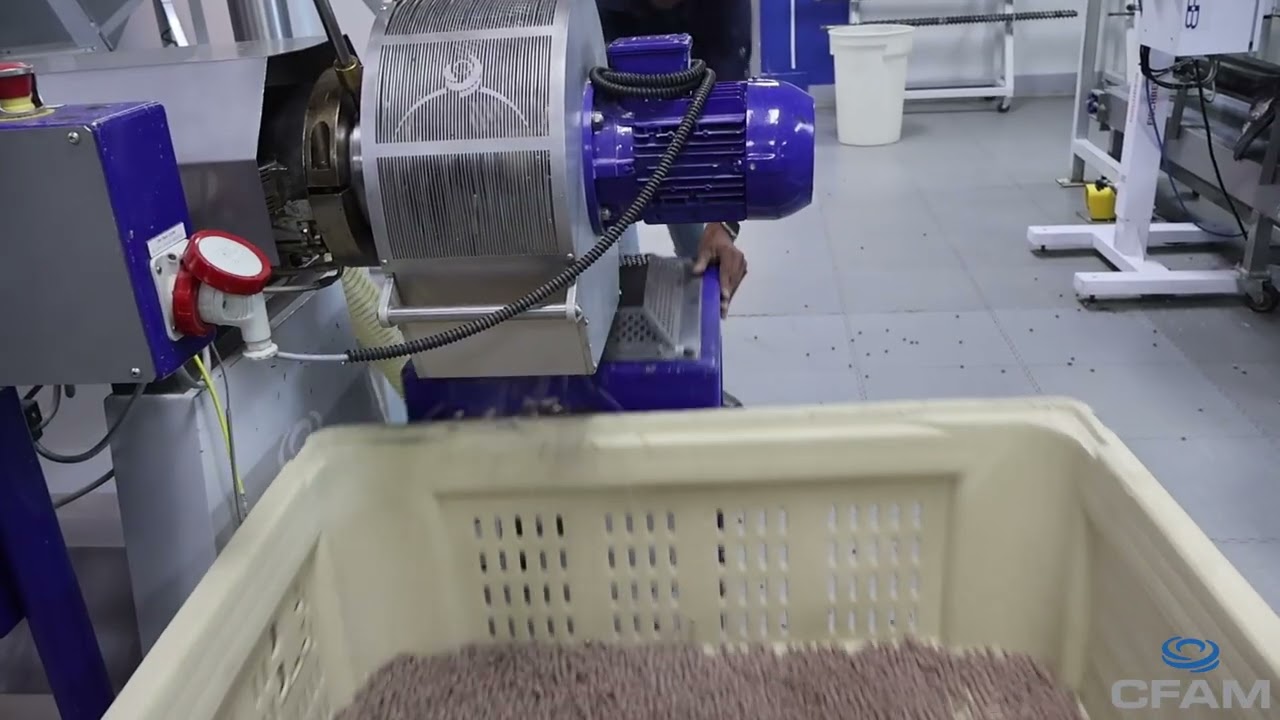 CFAM | Sorghum and Teff Instant Porridge