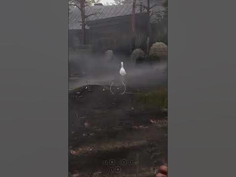 Гусь Птица Говорун Отсылка Тайна Третьей Планеты #shorts #youtubeshorts ...