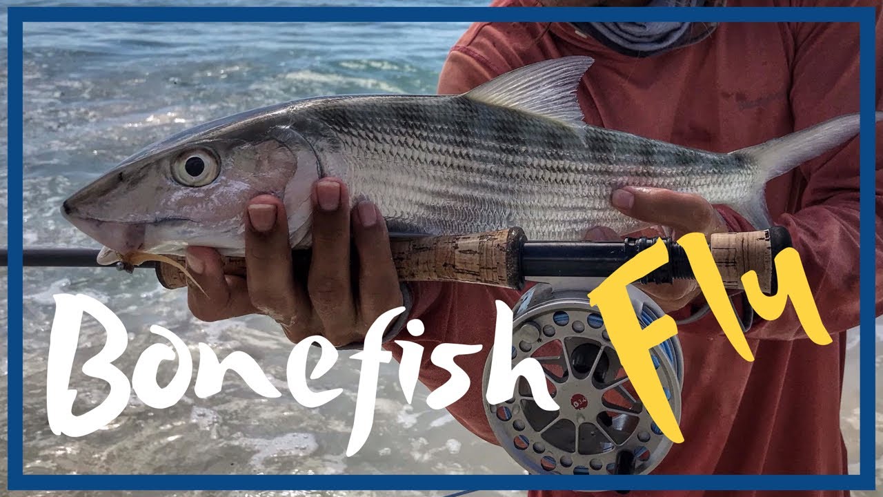 Tying a Gotcha fly (Golden candy) step by step