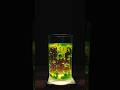 How to Make a Lava Lamp with Household Ingredients ? #lavalamp #handmade #lava #crafts