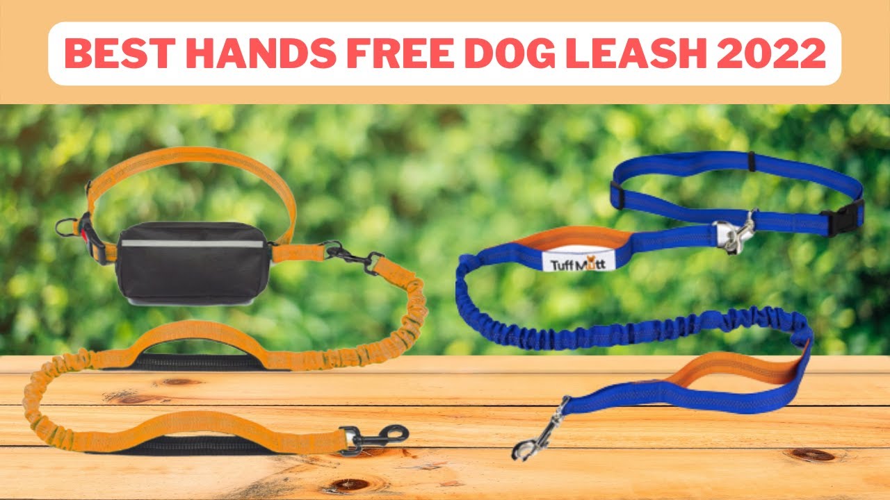 Top 5 Best Hands Free Dog Leash Hands Free Dog Leash 2022 YouTube