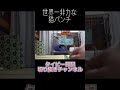 本人は一生懸命🙂 #タイピー日記切り抜き #タイピー日記 #shorts