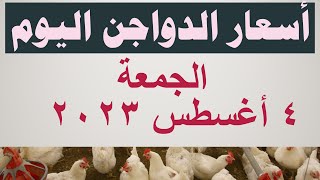 أسعار الدواجن اليوم | سعر الفراخ اليوم في مصر الجمعة ٤ أغسطس ٢٠٢٣