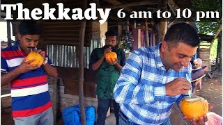 A day at Thekkady, Kerala  Episode 6| Periyar National Park, Things to do in Thekkady