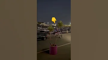 سورة يوسف السديس 