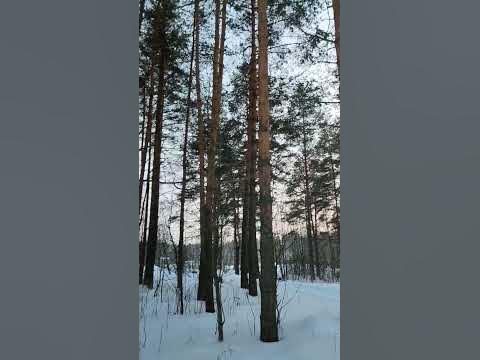 Буй, Костромская область 🌤️ п.Пионерный - YouTube