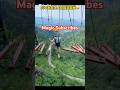 Magic video #shorts #reels #vairalvideo