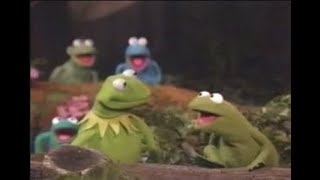 Muppets on The Earth Day Special (1990)