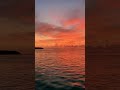 🌅❤️