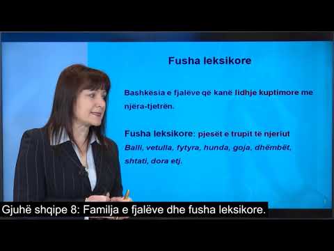 Gjuhë shqipe 8 - Familja e fjalëve dhe fusha leksikore.