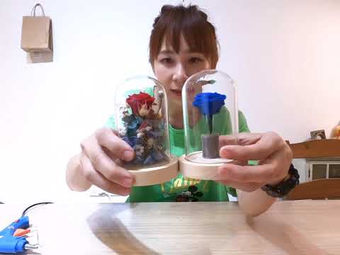 300元內永生花玻璃罩diy 教學萬年不敗手作禮物 Youtube
