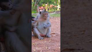 Little Baby Eleanor With Mum Ellen