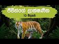 10 විද්‍යාව | ජීවීන්ගේ ලාක්ෂණික පාඩම |Grade 10 science