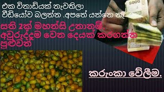 swayan rakiya. business idiya, කරුංකා  සැදීම .