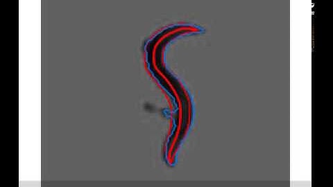 Demo for our worm tracking algorithm: best big data quantifier (BBQ)