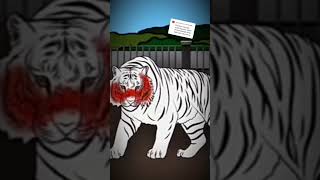 #youtubeshorts nih udah di buatin