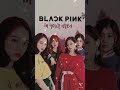 Blackpink   blinks fanclub