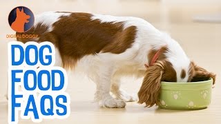 Dog Food: Everything You Need to Know by Digital Doggy 116 views 7 years ago 1 minute, 46 seconds