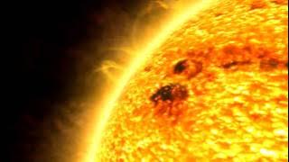 The Biggest Stars In The Universe