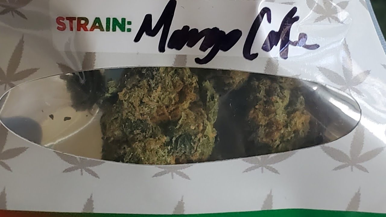 MANGO CAKE STRAIN WAKE AND BAKE STYLE YouTube
