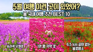 국내 여행 추천 놓치면 후회할 숨겨진 5월 봄 여행 명소 BEST 10