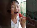 赤いトマトとはくそ  #shorts