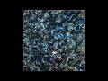 The Caretaker - Advanced Plaque Camaraderie