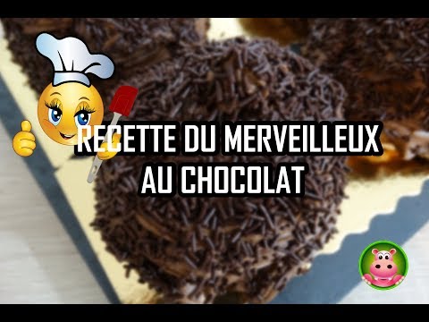 cookexpert-de-magimix---recette-du-merveilleux-au-chocolat