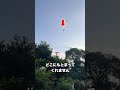 玄関先で思わぬ虫に出会ってしまった #クワガタ