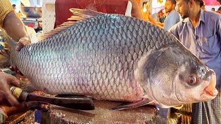Incredible Giant Katla Fish Cutting Skills Live in Fish Market | Fish Cutting Skills
