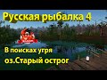 Русская рыбалка 4. В попытках поймать угря.