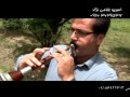 سرنا مجتبی امیرسرداری 2 