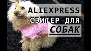 ❤ ALIEXPRESS ❤ ПОСЫЛКА ❤ одежда для СОБАК ❤ ALIEXPRESS ❤ ПОСЫЛКА ❤ одежда для СОБАК