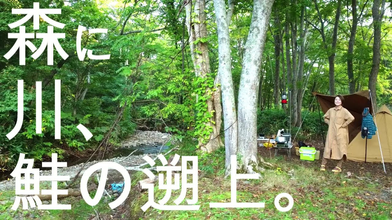 【中年女子ソロキャンプ】北海道秋鮭の産卵見ながら森林浴/薪割り/焚き火