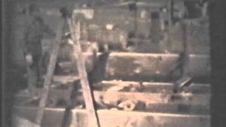 Minnesota virgin pine logging with horses.wmv