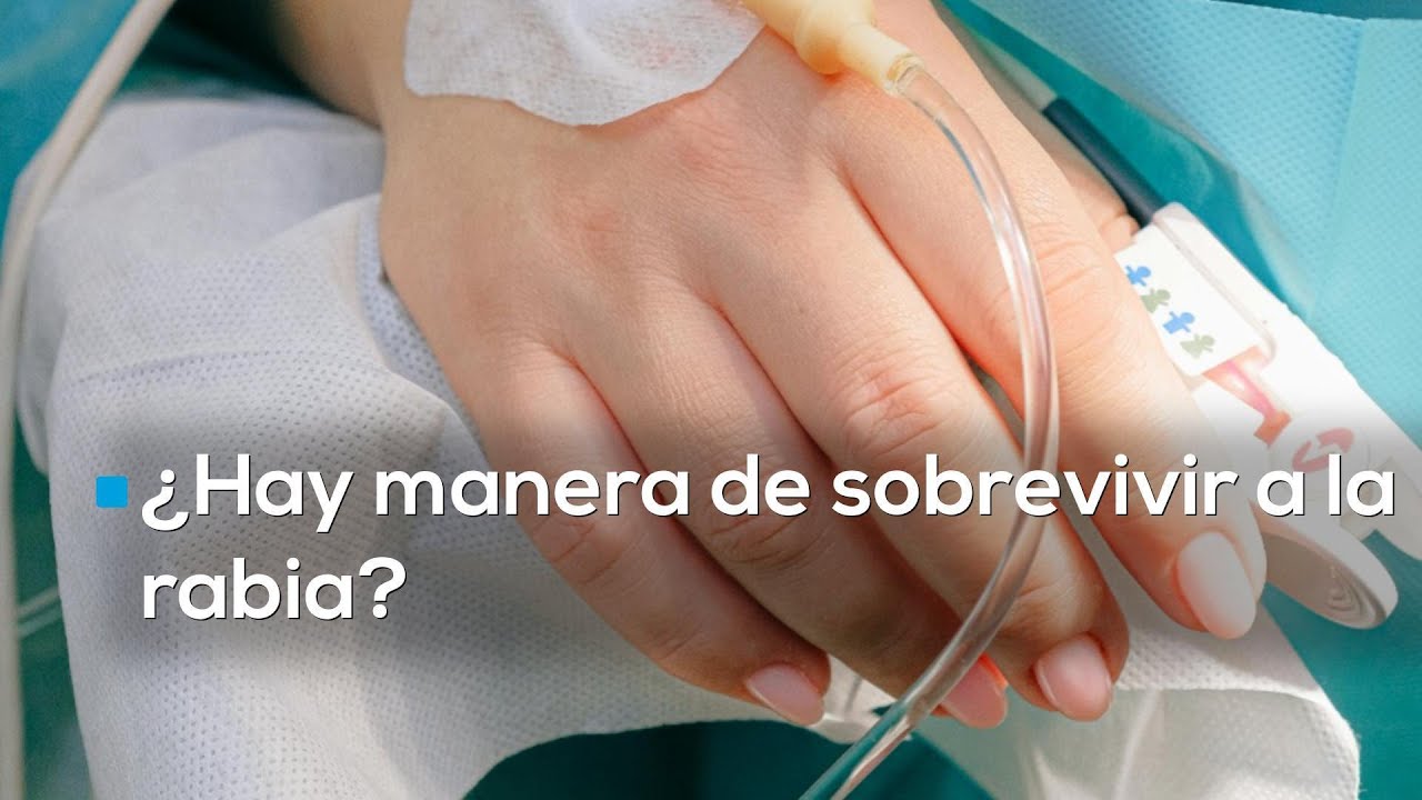 Si me da rabia, ¿moriré? | Expertos nos hablan de los síntomas de esta enfermedad