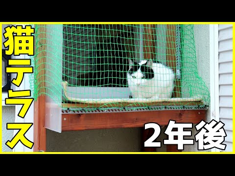 猫テラスの製作から2年後の様子【ど素人DIY】 - YouTube