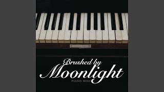 Soft Nocturne screenshot 2