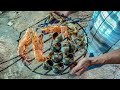 Pesca y Cocina de Cangrejos Caracoles y Camarones  🦀🐚🦐