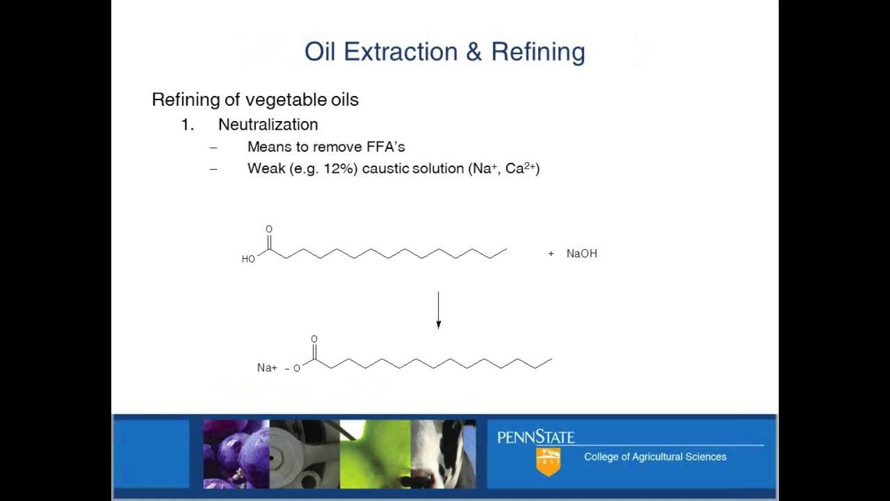 Refining FoodGrade Oil YouTube