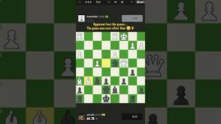 Opponent lost the queen…The game was over after that 😳♛ #chess #chessbaseindia #chessgame #chesscom