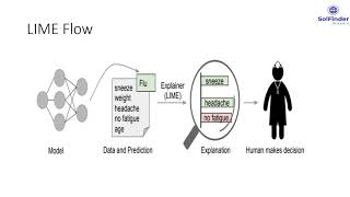 Locally Interpretable Model-agnostic Explanations