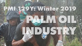 Palm Oil Industry (group 3, PMI 129Y Winter 2019)