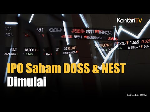 IPO Saham DOSS & NEST Buka Penawaran Awal | Kontan News