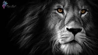 Peaceful | Slow-motion | Soul Lion