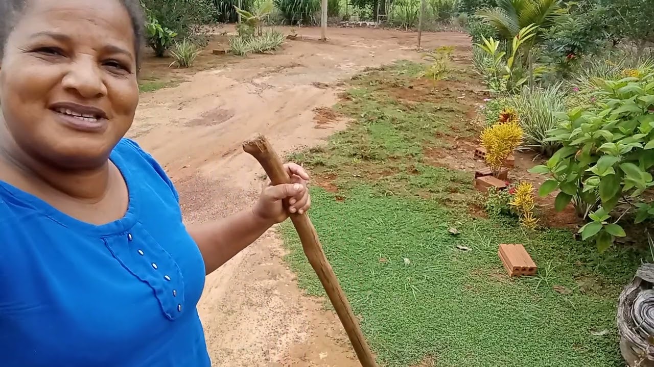 Esse quintal não foi fácil para limpar mas consegui olha só como ficou top