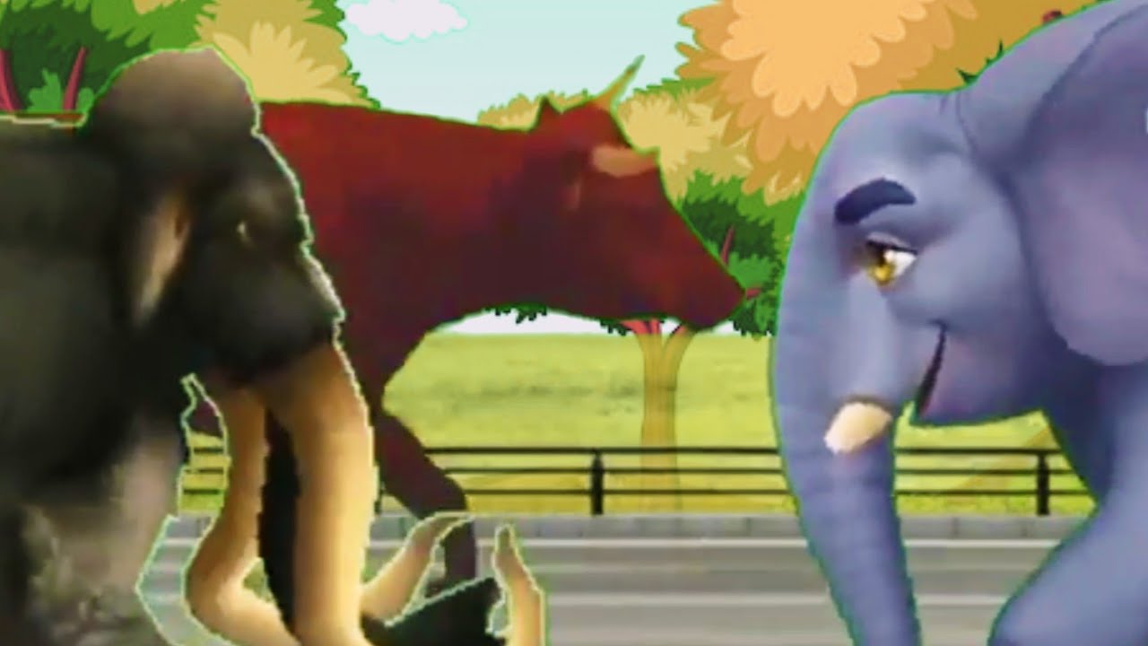 Animals Race Cartoon || Animals Stampede Race Cartoon #mywork # ...