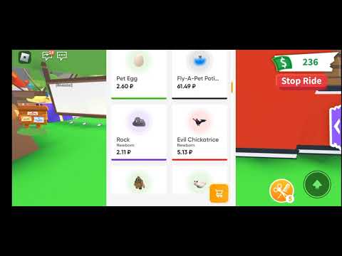 Стар петс - YouTube